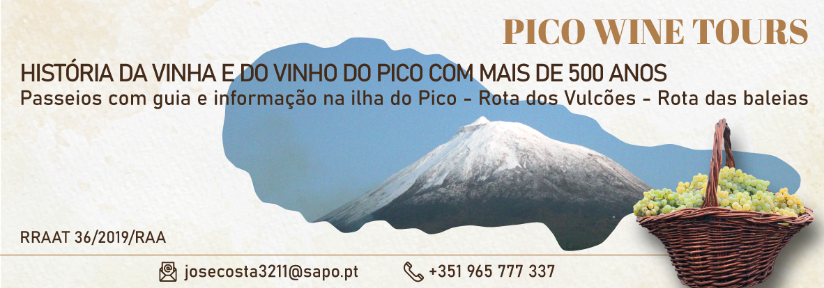 Pico Wine Tours