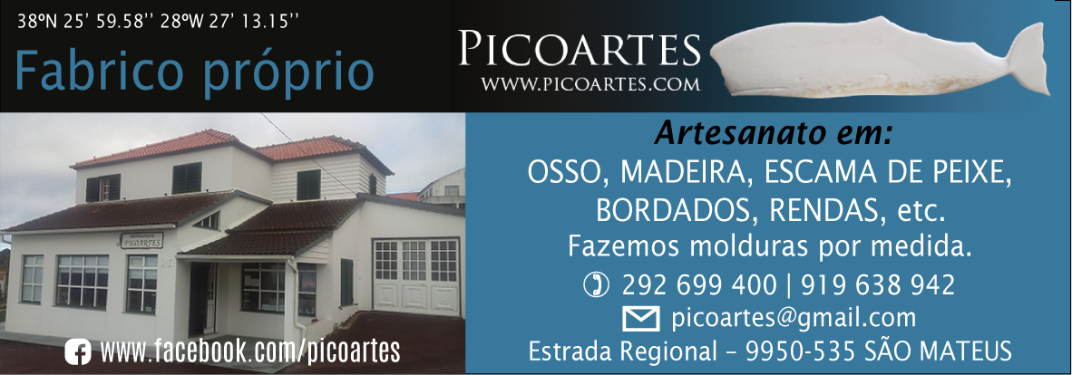 PicoArtes