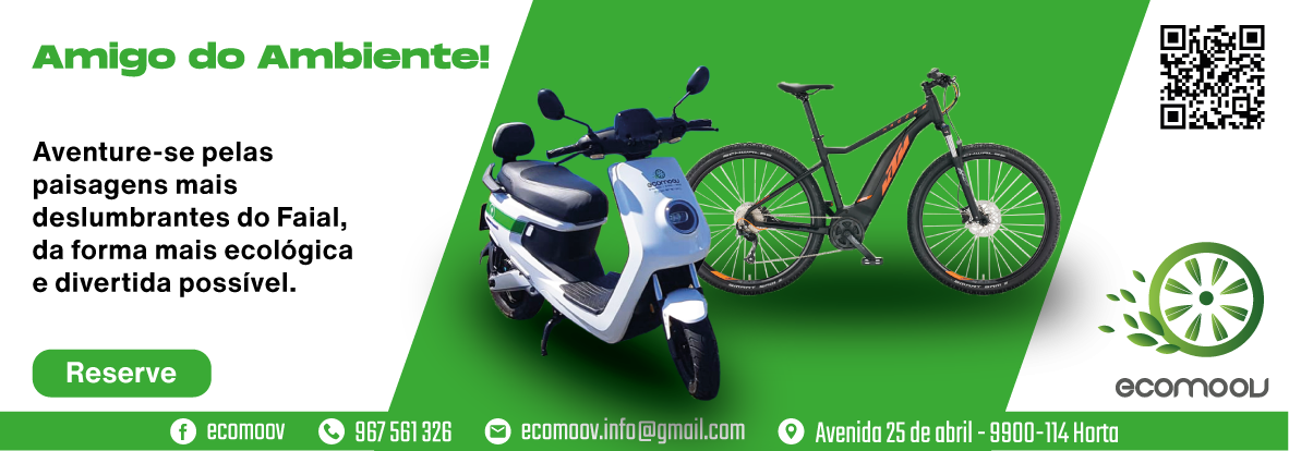 Ecomoov