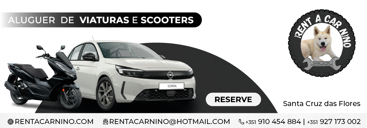 Rent a Car Nino