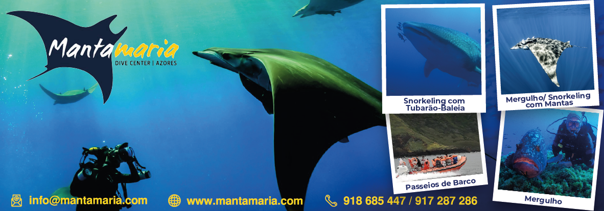 Mantamaria Dive Center Azores