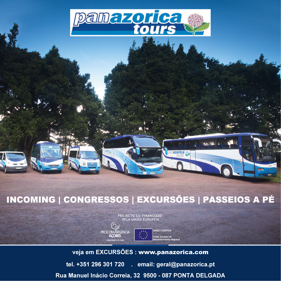 Panazorica